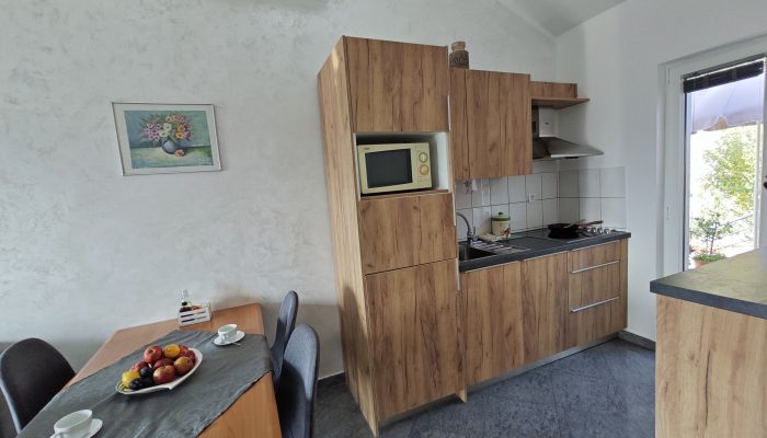 Green Suite kitchen